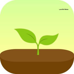 برنامج لتنظيم المهام اليومية